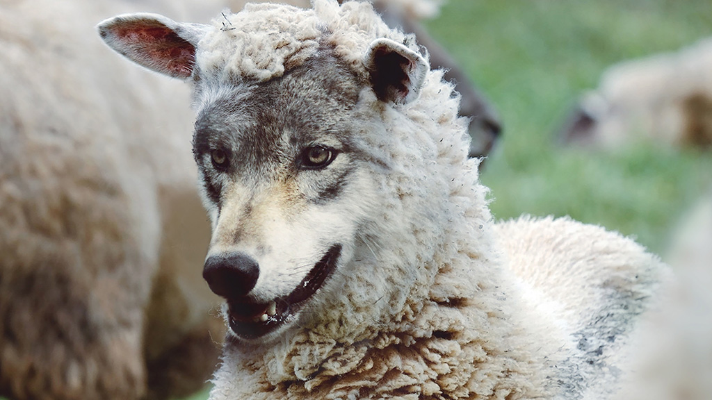 Foreign Mutual Funds And PFICs – Pitfalls For Expats