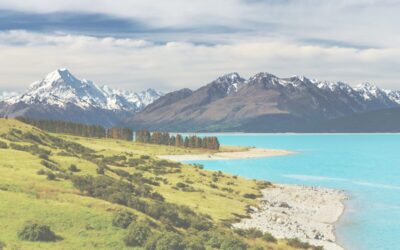 US Expat Taxes for Americans Living in New Zealand – A Guide